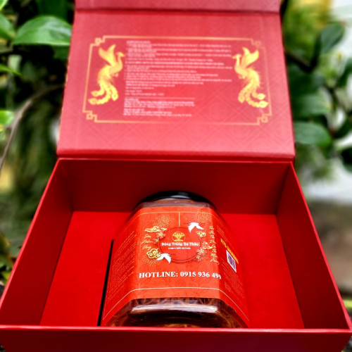 Hộp Đông Trùng Hạ Thảo sấy thăng hoa lọ 25g